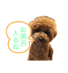 むぎちゃんです！（個別スタンプ：5）
