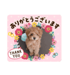 むぎちゃんです！（個別スタンプ：8）