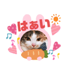 ミュウさん、海さん2（個別スタンプ：4）