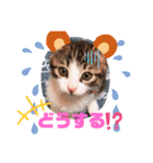 ミュウさん、海さん2（個別スタンプ：8）