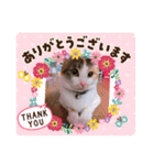 ミュウさん、海さん2（個別スタンプ：13）