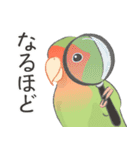 Jiu-Jiu Bird のあいさつ 2（個別スタンプ：14）