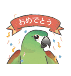 Jiu-Jiu Bird のあいさつ 2（個別スタンプ：29）