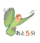 Jiu-Jiu Bird のあいさつ 2（個別スタンプ：34）