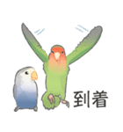 Jiu-Jiu Bird のあいさつ 2（個別スタンプ：36）