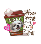 shihzu♡micky（個別スタンプ：2）