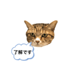 ラン スタンプ（個別スタンプ：3）