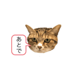 ラン スタンプ（個別スタンプ：4）