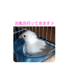 まろタイム（個別スタンプ：5）
