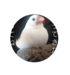 まろタイム（個別スタンプ：6）
