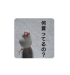 まろタイム（個別スタンプ：7）