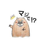 ビーバーのいる生活（個別スタンプ：6）