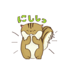 シマリスのぽぬちゃん2（個別スタンプ：3）