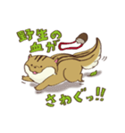 シマリスのぽぬちゃん2（個別スタンプ：5）