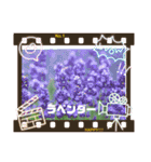 癒しのハーブコレクション Part1（個別スタンプ：1）