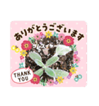 癒しのハーブコレクション Part1（個別スタンプ：5）