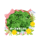 癒しのハーブコレクション Part1（個別スタンプ：16）