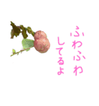 植物で気分上げて！（個別スタンプ：1）