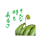 植物で気分上げて！（個別スタンプ：2）