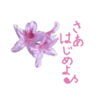 植物で気分上げて！（個別スタンプ：4）