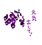 植物で気分上げて！（個別スタンプ：5）