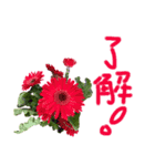 植物で気分上げて！（個別スタンプ：7）