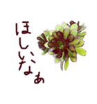 植物で気分上げて！（個別スタンプ：8）