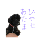 動物のスタンプ 辛口（個別スタンプ：2）