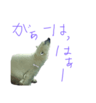 動物のスタンプ 辛口（個別スタンプ：3）