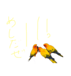 動物のスタンプ 辛口（個別スタンプ：8）