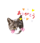 まちこさん（猫）（個別スタンプ：9）
