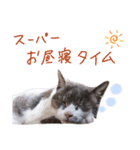 まちこさん（猫）（個別スタンプ：15）