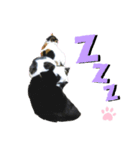 ねこちゃんまぁちゃんファミリー（個別スタンプ：11）