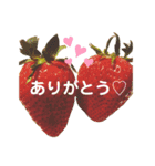 ある日のひとコマスタンプ（個別スタンプ：1）