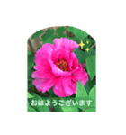 ある日のひとコマスタンプ（個別スタンプ：6）