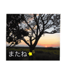 ある日のひとコマスタンプ（個別スタンプ：8）