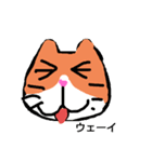 工夫が施されたゆる猫スタンプ（個別スタンプ：1）