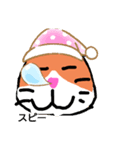 工夫が施されたゆる猫スタンプ（個別スタンプ：2）