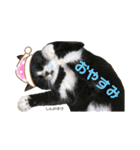 うちっちの猫スタンプ（個別スタンプ：2）