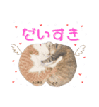 うちっちの猫スタンプ（個別スタンプ：10）