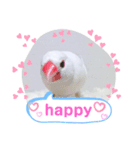 しろ文鳥のしろぴっぴ（個別スタンプ：7）