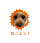 ずっくんほうちゃんぱっち（個別スタンプ：2）