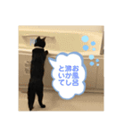 ずっくんほうちゃんぱっち（個別スタンプ：3）