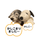 ずっくんほうちゃんぱっち（個別スタンプ：5）