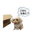ずっくんほうちゃんぱっち（個別スタンプ：11）