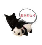 ずっくんほうちゃんぱっち（個別スタンプ：12）