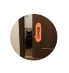ずっくんほうちゃんぱっち（個別スタンプ：13）