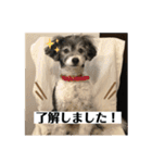 ずっくんほうちゃんぱっち（個別スタンプ：14）
