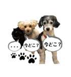 ずっくんほうちゃんぱっち（個別スタンプ：18）