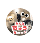 ずっくんほうちゃんぱっち（個別スタンプ：21）